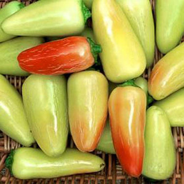 Jaloro Jalapeno Pepper Seeds - The Pepper Pantry (Formerly Marie Sharp's)